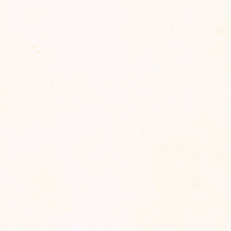 Furnir natural standard stejar alb RAL9016
